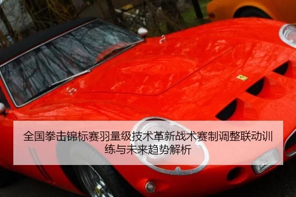 全国拳击锦标赛羽量级技术革新战术赛制调整联动训练与未来趋势解析