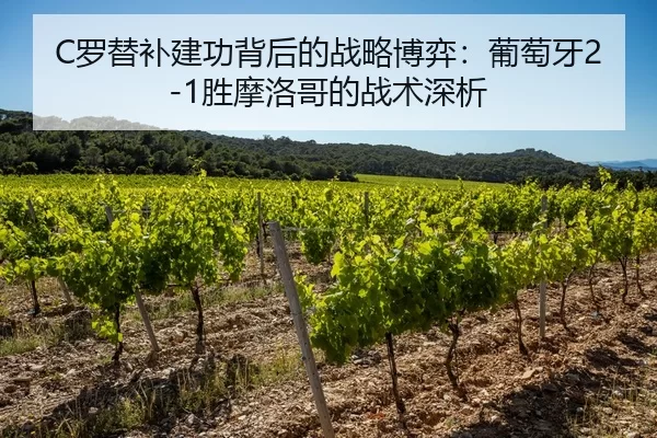 C罗替补建功背后的战略博弈：葡萄牙2-1胜摩洛哥的战术深析